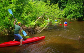 Świder Kajaki - Kajaki w Warszawie i spływy kajakowe po Wiśle